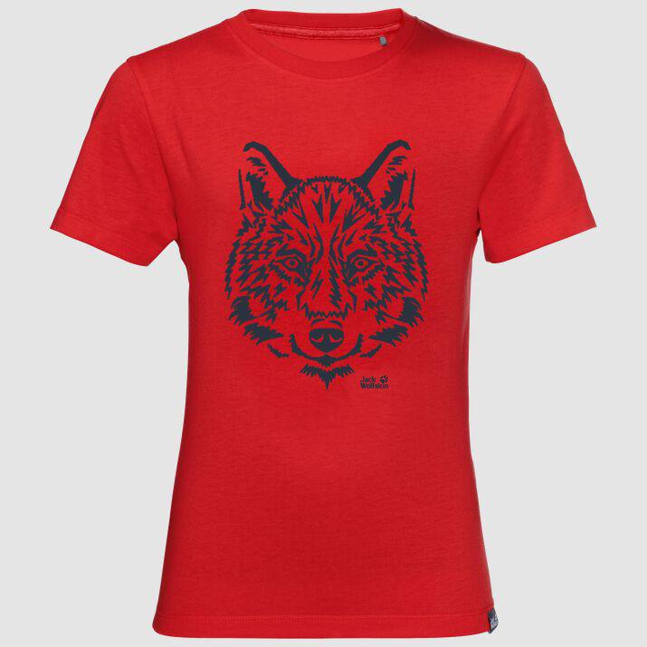Brand T Kids Punainen 116