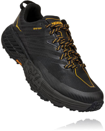 Speedgoat 4 GTX Anthracite US 8