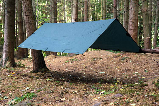 Tarp M Oliivi