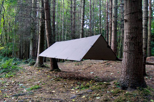 Tarp M Ruskea
