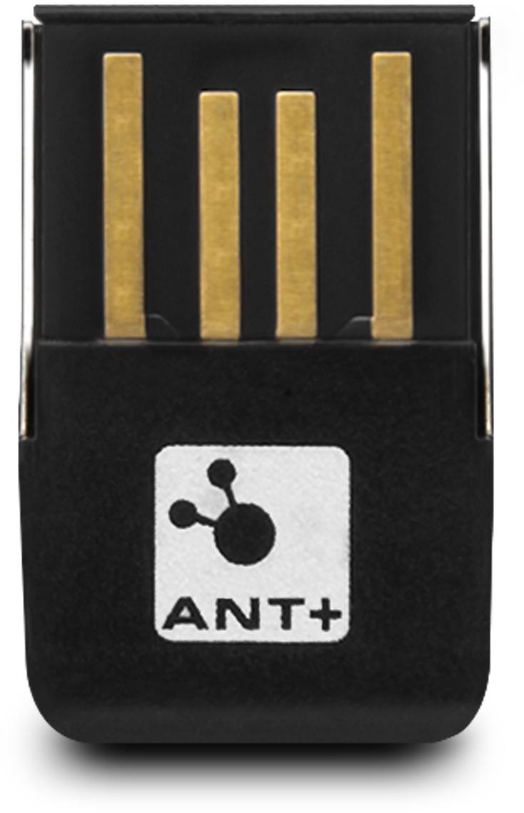 Ant Stick
